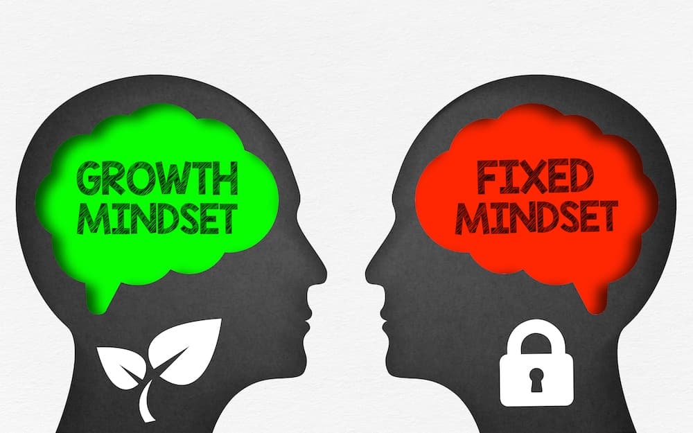 Growth Mindset dan Fixed Mindset: Saat Cara Kita Berpikir Menentukan Cara Kita Bertanggung Jawab